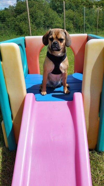 down down play slide